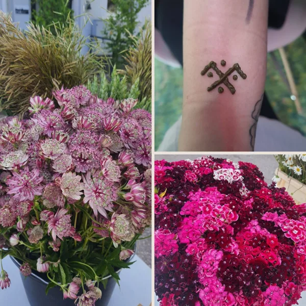 14.06.24.
