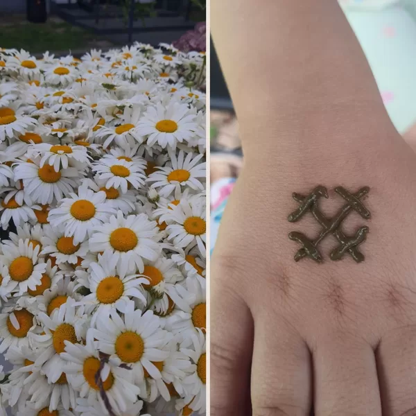 18.06.24.